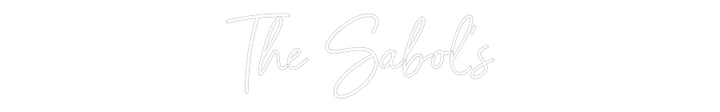 Customized Neon Sign: The Sabol‘s