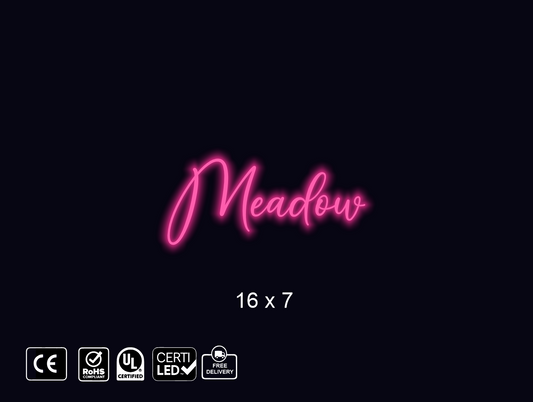 Custom Neon sign for MCS