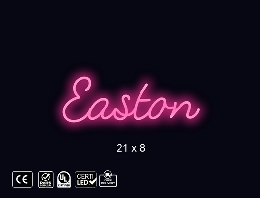 Custom Neon sign for Happy Bny