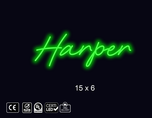 Custom Neon sign for Shellgren