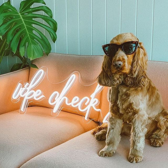 Vibe Check trendy LED neon sign glowing on bedroom wall by Neon.Shop