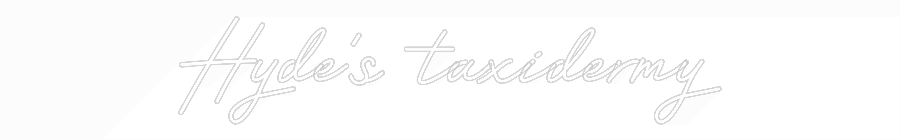 Customized Neon Sign: Hyde’s taxide...