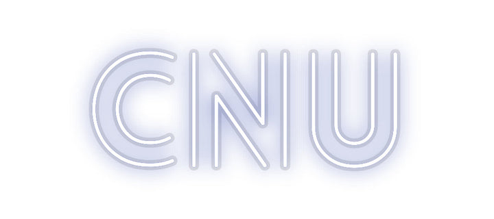 Customized Neon Sign: CNU