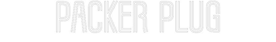 Customized Neon Sign: Packer Plug