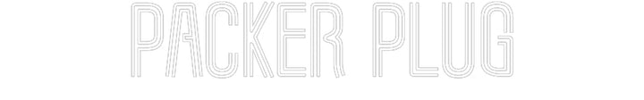Customized Neon Sign: Packer Plug