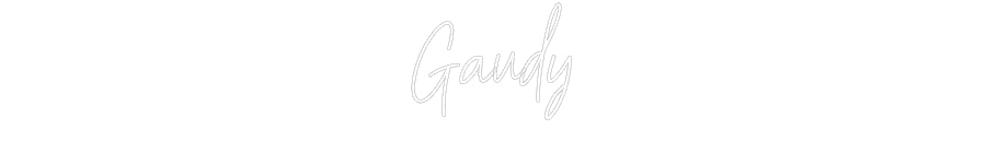 Customized Neon Sign: Gaudy