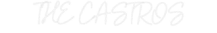 Customized Neon Sign: THE CASTROS