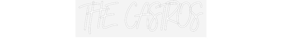 Customized Neon Sign: THE CASTROS