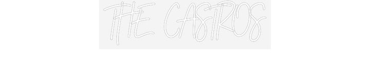 Customized Neon Sign: THE CASTROS