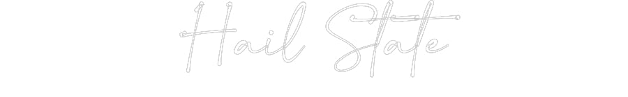 Customized Neon Sign: Hail State