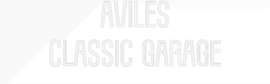 Customized Neon Sign: Aviles
Class...