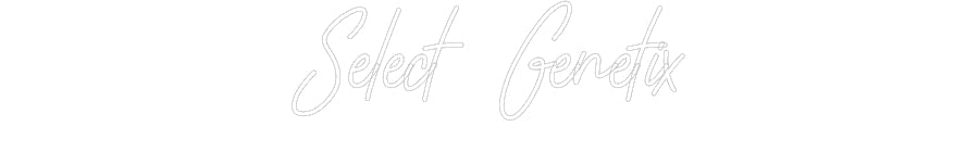 Customized Neon Sign: Select Genetix