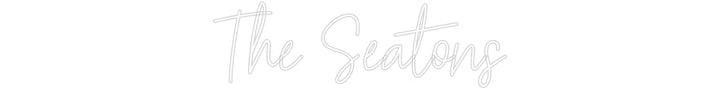 Customized Neon Sign: The Seatons