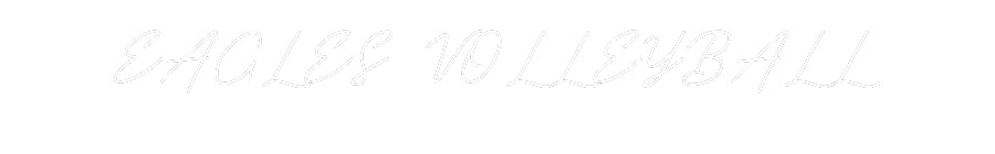 Customized Neon Sign: EAGLES VOLLEY...