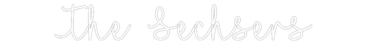Customized Neon Sign: The Sechsers