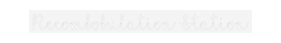 Customized Neon Sign: Recombobulati...