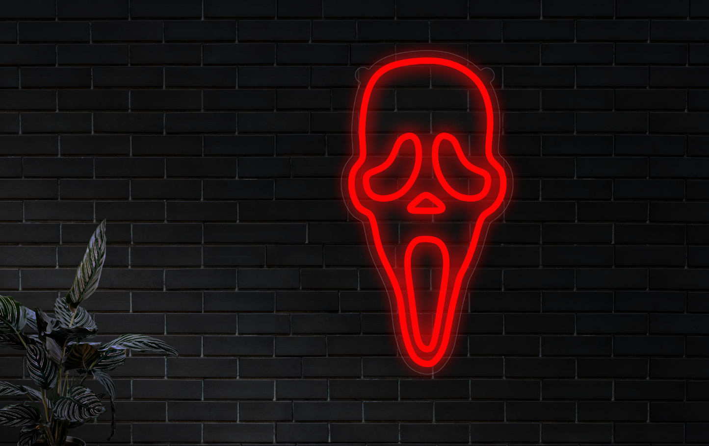 LED neon sign for Lára Eyglo