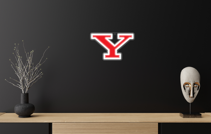 LED neon sign for Lindsey