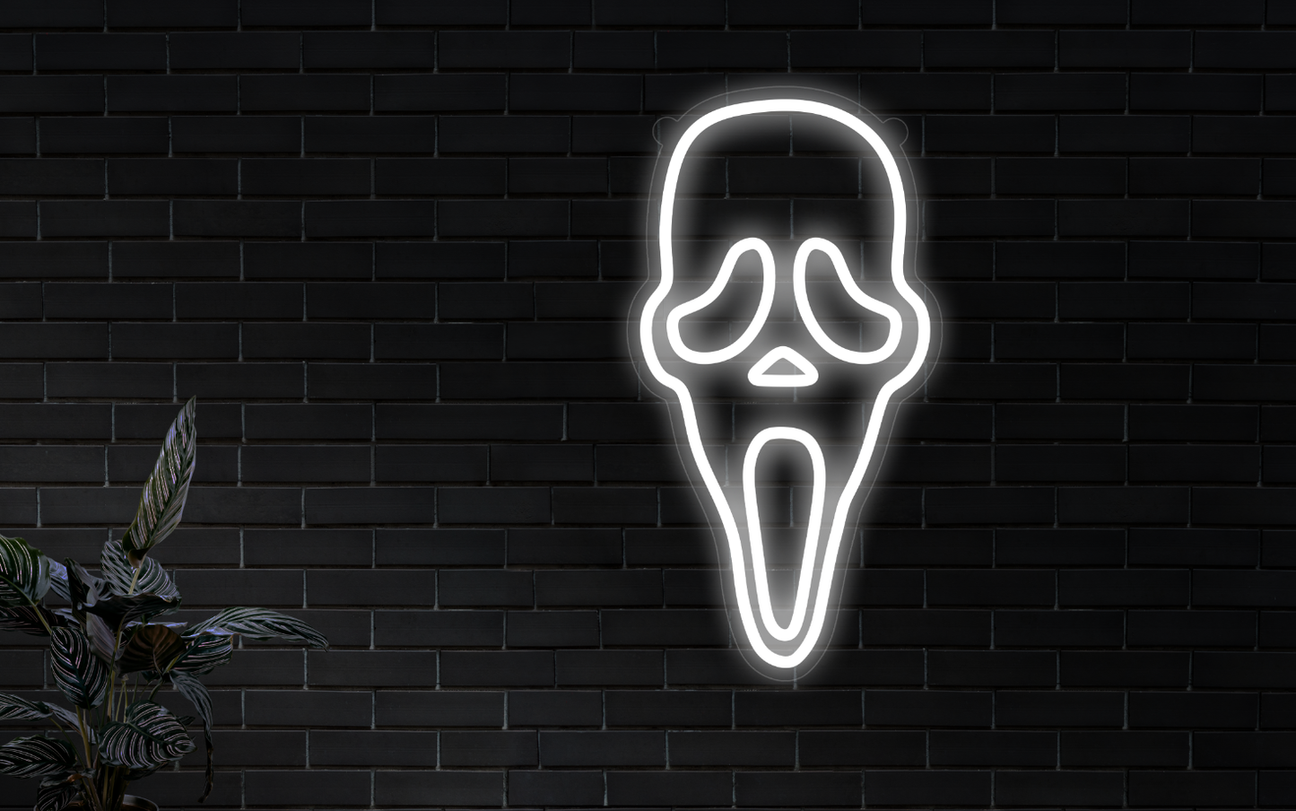 Led Neon Sign for Lára Eyglo